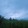 _meo_meo_97_