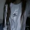 polivesix