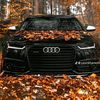 jay_34544