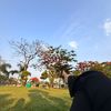 iam_annss77