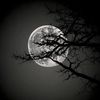 elif.alpaslan13