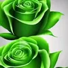 user78305071371057