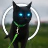 cat_many7
