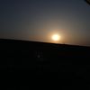 sofi.wardak8