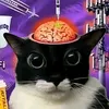 skittle_bro6