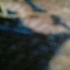 doasetinggilangit_123