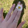 anmol_sha1