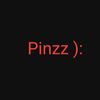 pinzstr_02