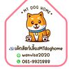 dogcake_mtdoghome