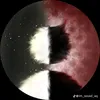 truongquangvu_1234