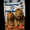 lionsofjudah777