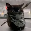 tyrbo.sisi