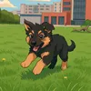kingthedog