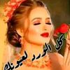 user4495255394580