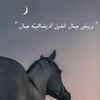 hadil4342