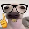 larryatetimmy