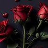 tania.islam3973