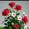 imran.afzal.gujar