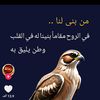 user7356985748616