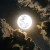 loveat_1sight