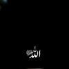 sallma894
