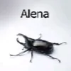 naomecfwgt3