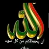 user7138405548733
