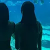 lenazzzys