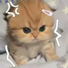 nana.z7__
