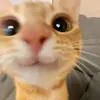 milaprtty26_
