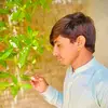 ramzan.jani4561