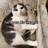 cutesycutesycutesy1
