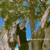moon.lay029