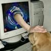 cdog0909