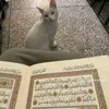 roukia_0