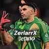 zerlarrx