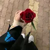 cv__v2