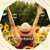 el.camino.hacia.la.paz1