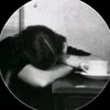 t0_1995