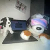 -[Lavanda and others dogs^^]-