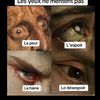 100sagittaire