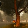 faii_336