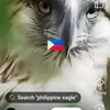 geronimo.lodrita