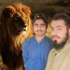 kpktiger384