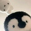 user91081271772