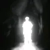 lakozvery