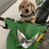 ngoc_hai1_73