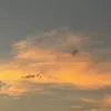 nguynlinh2782013