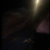 whoisythis