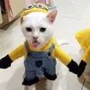 janevillarosario0